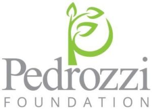 Pedrozzi Foundation Logo