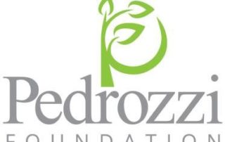 Pedrozzi Foundation Logo