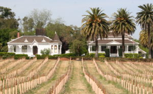 Ravenswood, Livermore