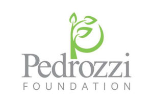 Pedrozzi Foundation Logo