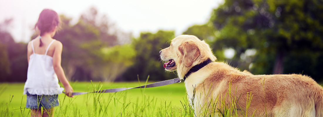 livermore california dog park