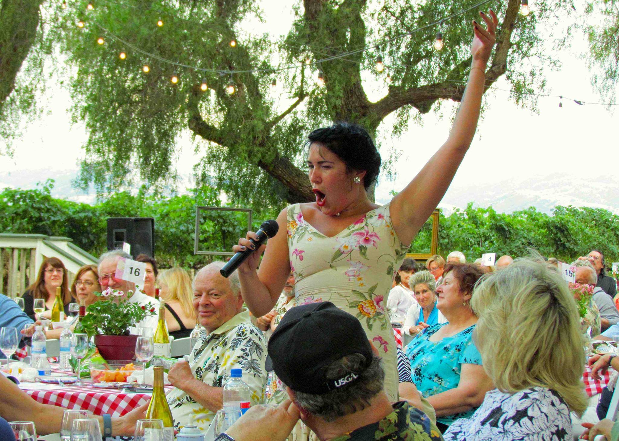 LVO’s Opera in the Vineyard Returns to Retzlaff Vineyards July 16