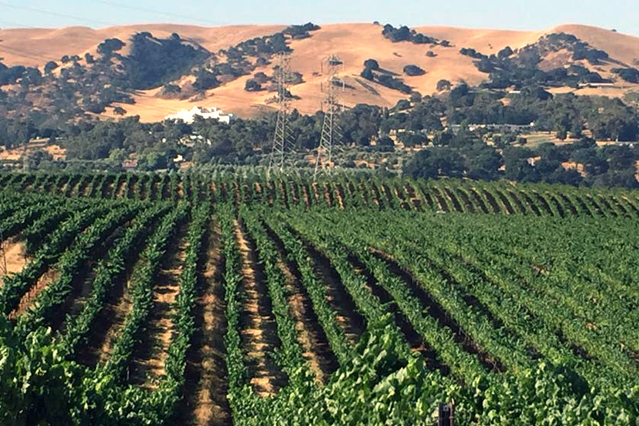 Agri-Tourism in the Livermore Valley