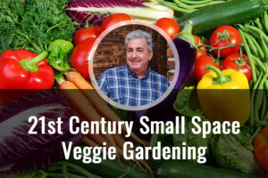 Vegetable Gardening in the 21st Century