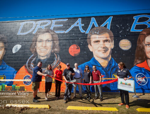 LVCC Supported the Official Unveiling of the DREAM BIG Wall Mural