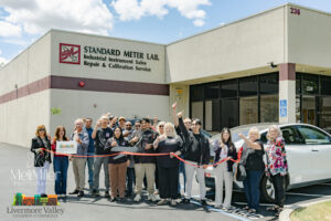Standard Meter Lab